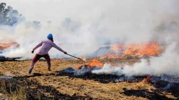 Stubble burning: AAP promises free spraying of bio-decomposer in Punjab if party forms govt