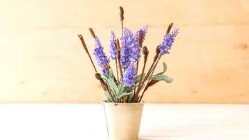 Vastu Tips: Do not keep these flowers in home or office, they become reason for defects