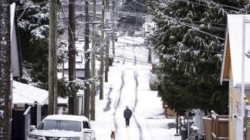 A man walks a dog after an overnight snowfall in Vancouver, B.C., Canada, on Saturday, Dec 25, 2021.