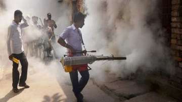 Dengue in Delhi, Dengue, Delhi, Dengue deaths,Dengue in Delhi, Dengue, Delhi, Dengue deaths