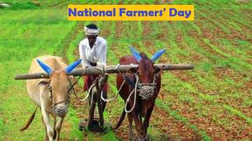 Kisan Diwas 2021: Why India observes National Farmers' Day on December 23