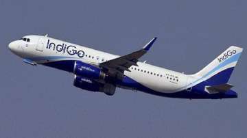 IndiGo airlines,IndiGo,IndiGo Mumbai Abu Dhabi flight, IndiGo latest news, IndiGo flights,civil avia