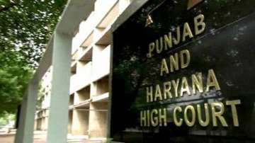 punjab haryana high court live in relationship