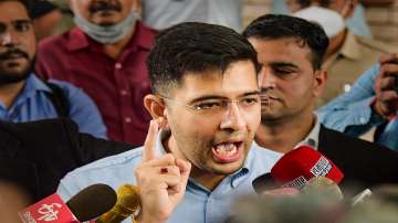 Raghav Chadha said the people of Punjab "love and trust" Kejriwal. 