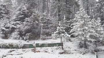 Fresh snowfall in Himachal Pradesh's Shimla