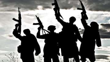 Terror groups, terrorism, US report on terrorism, Terror groups targeting india, US, FATF, FATF late