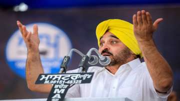 From contestant in laughter show, judged by Sidhu, to AAP's Punjab CM face: The Bhagwant Mann story