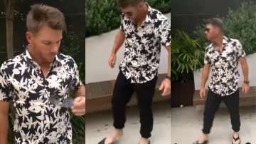 Australian cricketer David Warner gets 'Pushpa' fever, pulls off Srivalli hook step. Allu Arjun & fa