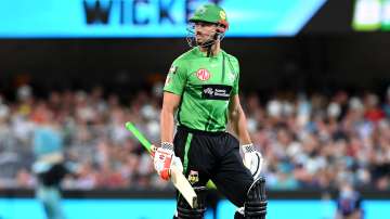 Melbourne Stars all-rounder Marcus Stoinis in isolation due to COVID-19. (File Photo)