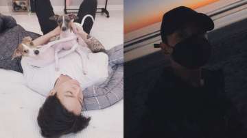 BTS: ARMY goes gaga after Jungkook shares pics with his pups, sets new Instagram record