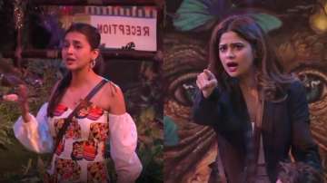 Bigg Boss 15, Tejasswi Prakash, Shamita Shetty