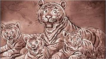 Amul's tribute artwork for tigress Collarwali moves netizens to tears