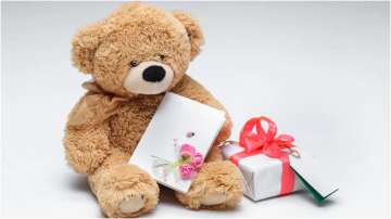 Teddy Day is celebrated on the fourth day of Valentine's Week