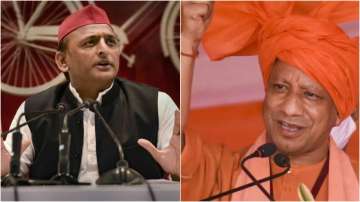 Uttar Pradesh elections 2022, UP polls, up election 2022, Karhal Karhal news, UP polls,  UP polls 20