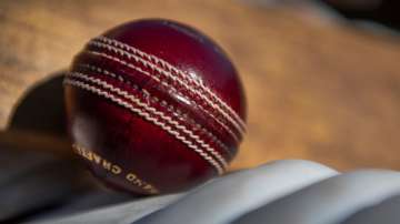 Representational image of cricket ball, pads and bat. 