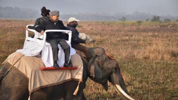 President Ram Nath Kovind, Ram Nath Kovind in Assam, elephant ride, Ram Nath Kovind elephant ride, K