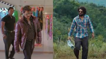 Allu Arjun's Pushpa and Anil Kapoor's Majnu Bhai in Welcome