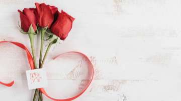 Happy Rose Day 2022: Red, pink to orange, know meaning behind different colours of roses