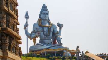 Maha Shivratri 2022: Do not offer THESE five things on shivling when worshipping Lord Shiva. Know wh