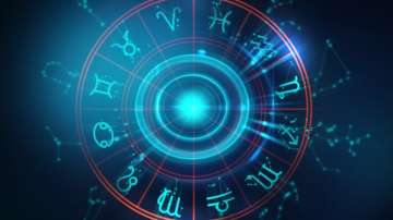 Sun transit in Aquarius: These 5 zodiac signs will have immense effect on February 13