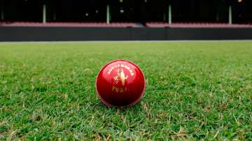 Test cricket ball (Representational image)