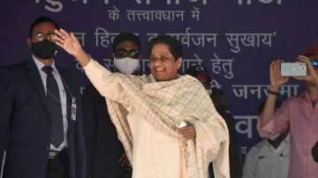 Bahujan Samaj Party (BSP) Chief Mayawati 