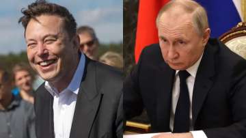 Who will win in Elon Musk and Vladimir Putin's fight?