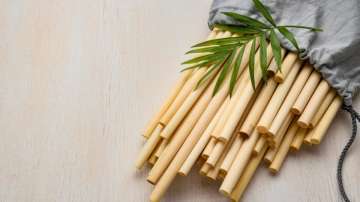 Keeping bamboo at home brings peace