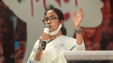 mamata banerjee, mamata banerjee address, bengal assembly