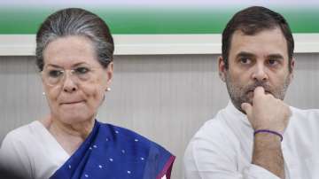 Congress interim president Sonia Gandhi and her son Rahul Gandhi at a party meeting in Delhi.