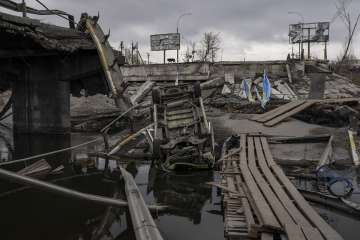 A dog walks on a destroyed bridge in Irpin, on the outskirts of Kyiv 