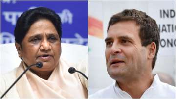 mayawati, Rahul gandhi, Congress, Uttar Pradesh, BSP, Congress, Mayawati, Rahul Gandhi, Uttar Prades