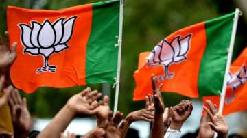 BJP swept the Legislative Council election but lost the key Varanasi seat.