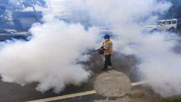 Delhi records 5 fresh cases of dengue in a week as tally rises to 74