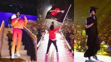 Do You Know Diljit Dosanjh performed in NCR and our 'Vibe' totally matched!