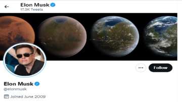 Elon Musk, Twitter, shares, lawsuit