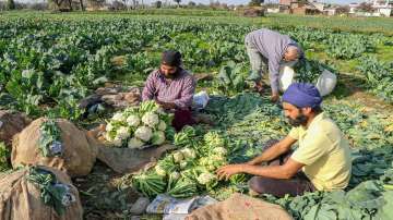 Prime Minister Narendra Modi, PM Modi lauds Central schemes, pm modi on farmers, farmers empowerment