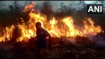 andhra pradesh fire, andhra pradesh news, forest fire