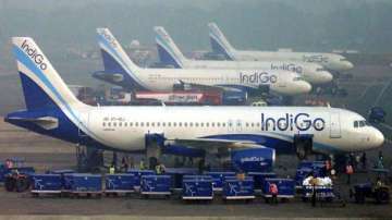 aviation,IndiGo,international air travel,InterGlobe Aviation Ltd,IndiGo international flights,IndiGo