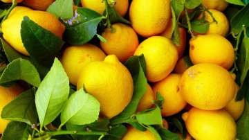 Jaipur, lemons high prices, man held in jaipur, man held for stealing lemons, Muhana vegetable marke