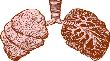 Micro-plastic pollution, Scientists, microplastics in lungs, microplastics in cosmetics, microplasti