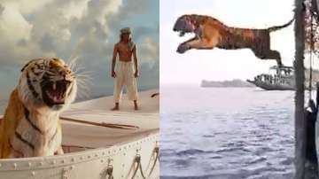 Viral video of a tiger jumping from the boat