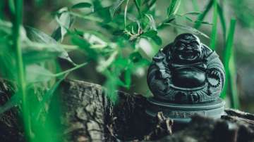 Vastu Tips: Things to keep in mind while placing a Laughing Buddha in your house 