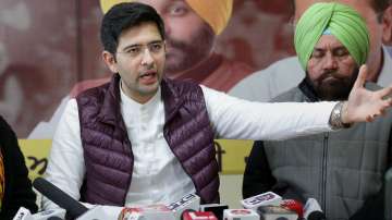 Aam Admi Party leader Raghav Chadha 