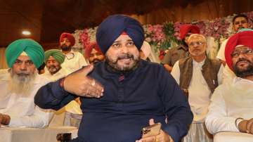 Punjab, navjot singh sidhu, bhagwant mann, AAP, congress, politics news