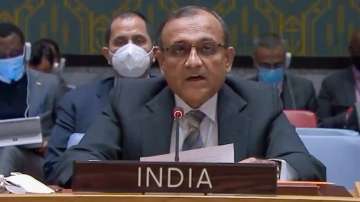 India, UAE, United Arab Emirates, UNSC, United Nations Security Council, Abu Dhabi, Embassy of India