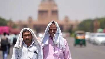 "Delhi, Delhi heat wave, Delhi weather, Delhi heat conditions, Delhi heat wave news, Delhi weather t