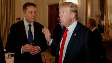 elon musk, donald trump, elon musk donald trump