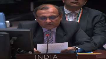 Don’t patronise us: India's UN representative tells Dutch envoy on Ukraine crisis