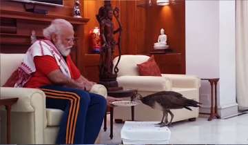 home minister, home minister amit shah, Amit Shah, PM Modi, Modi's love for peacock, peacock, modi p